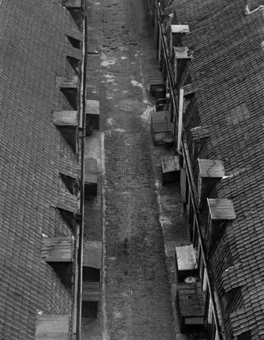 Cour Moreau Roubaix